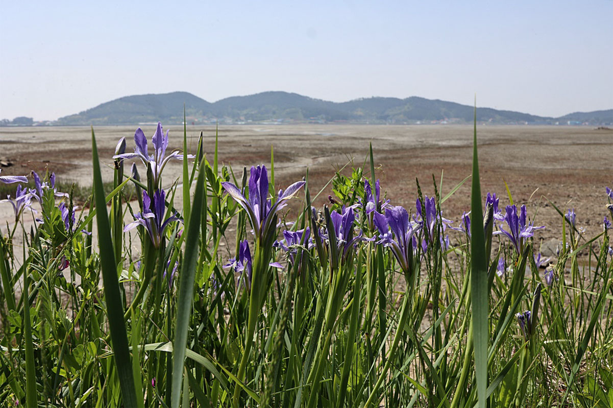 25-05-07 (8)-1.JPG