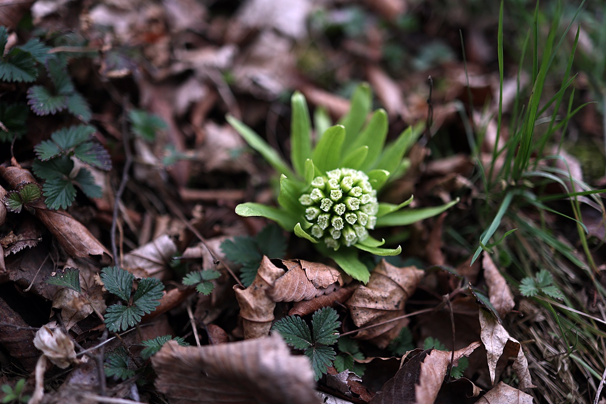 25-04-12 (139)-1.JPG