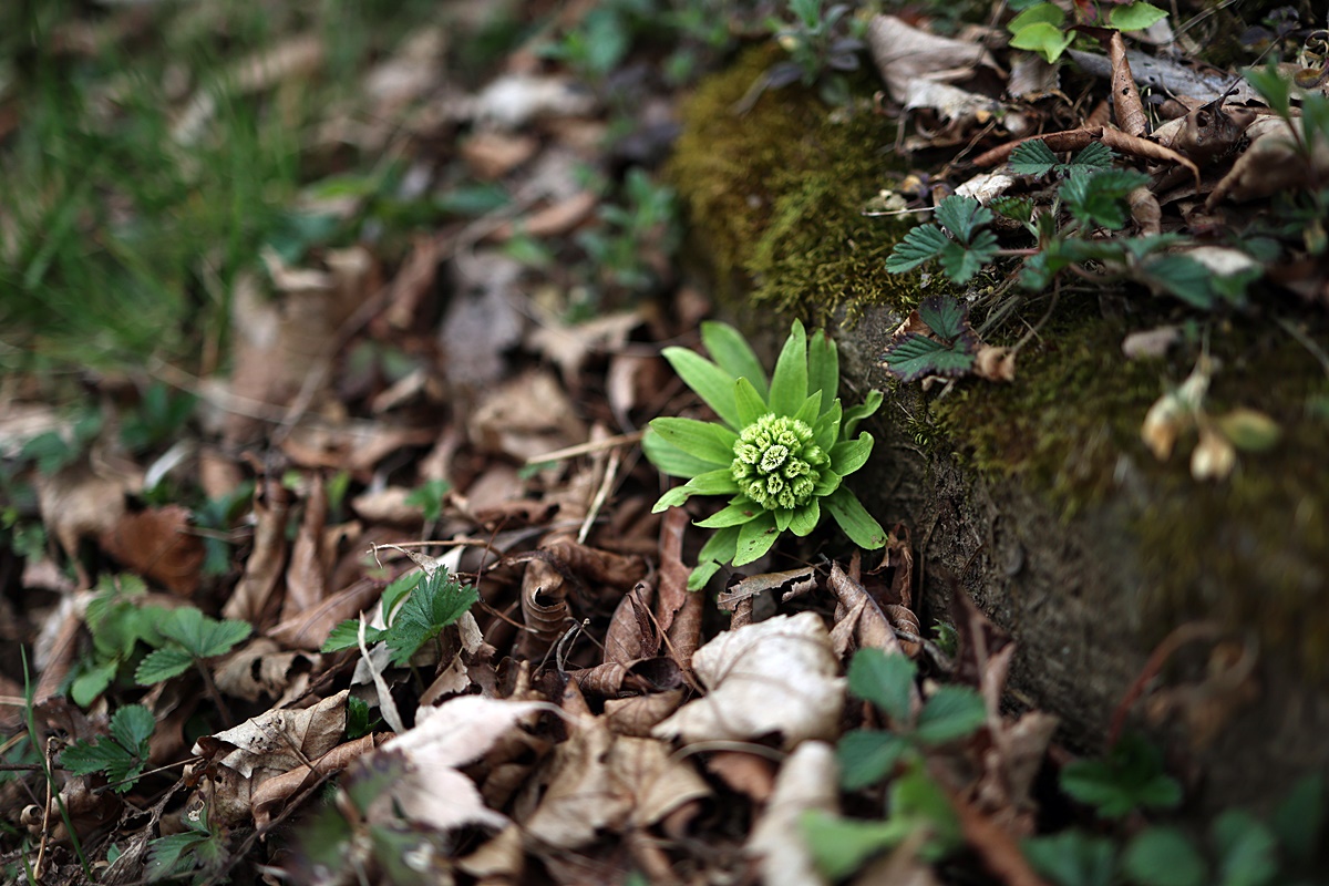 25-04-12 (135)-1.JPG