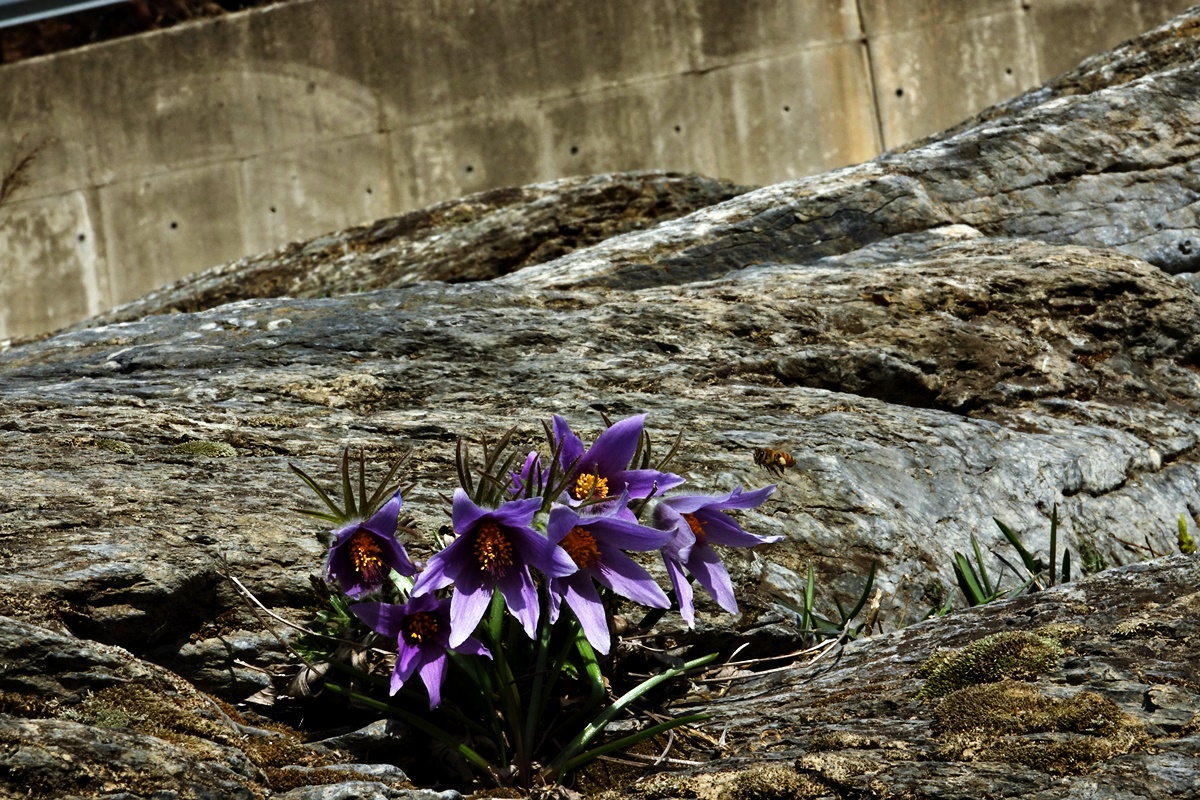21-03-24 (370)-1.JPG