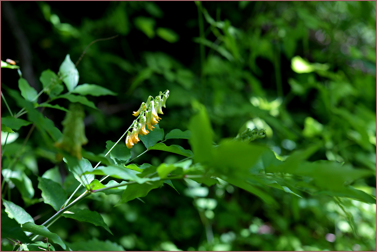 DSC_2283.jpg