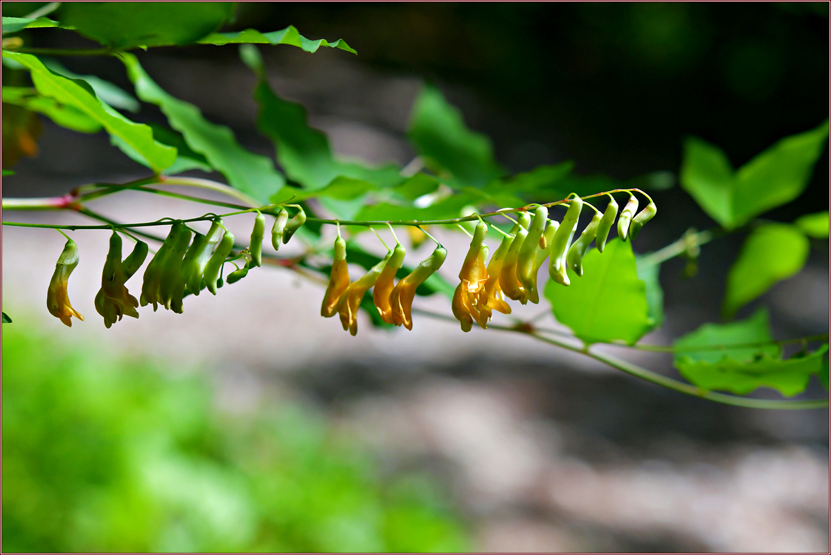DSC_2280.jpg
