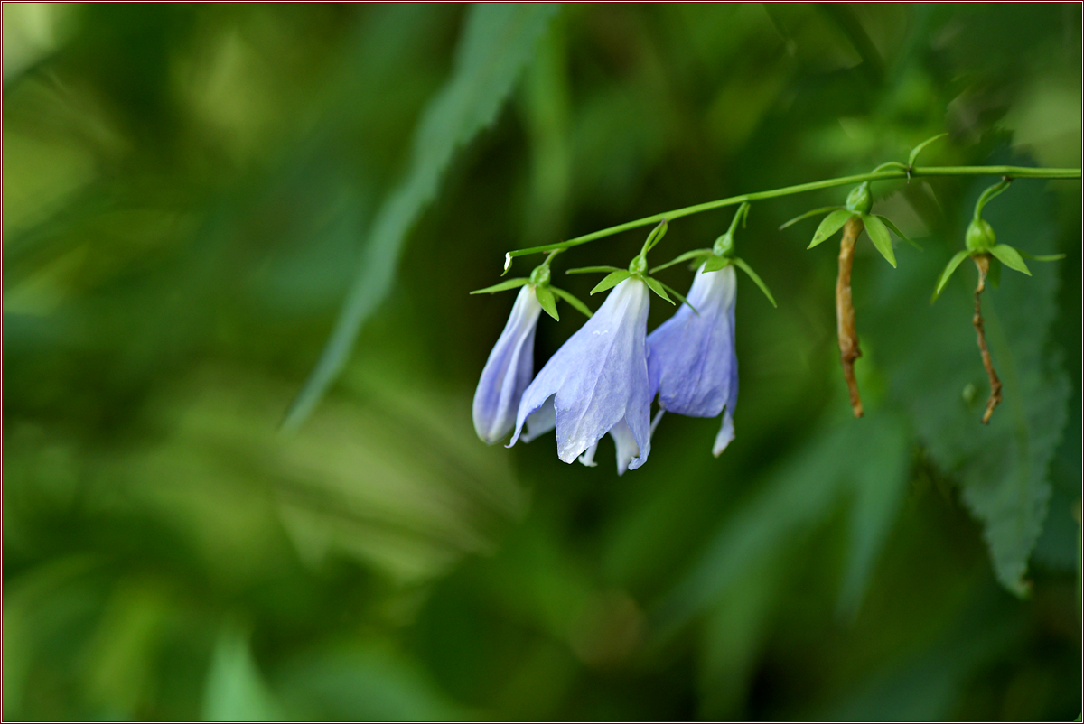 DSC_4766.jpg