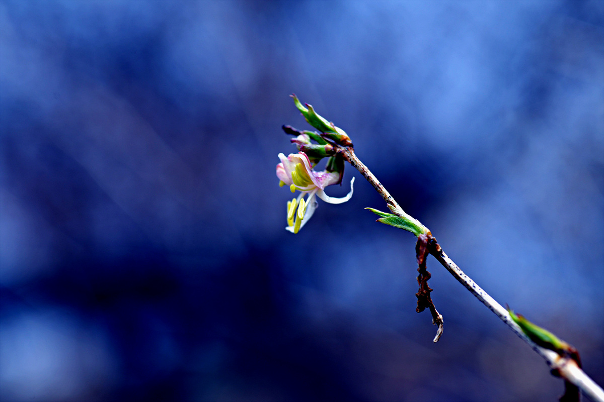 DSC_3256.jpg