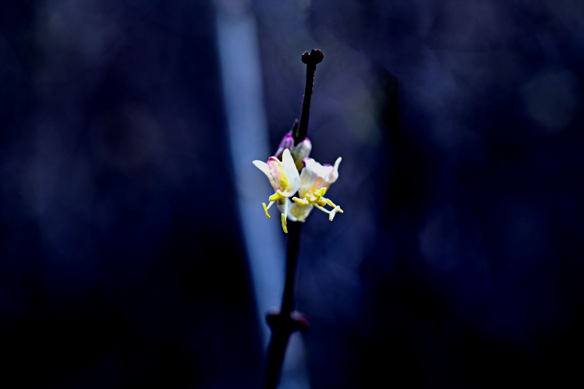 DSC_3255.jpg