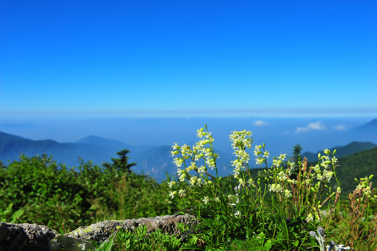 DSC_7833s.jpg