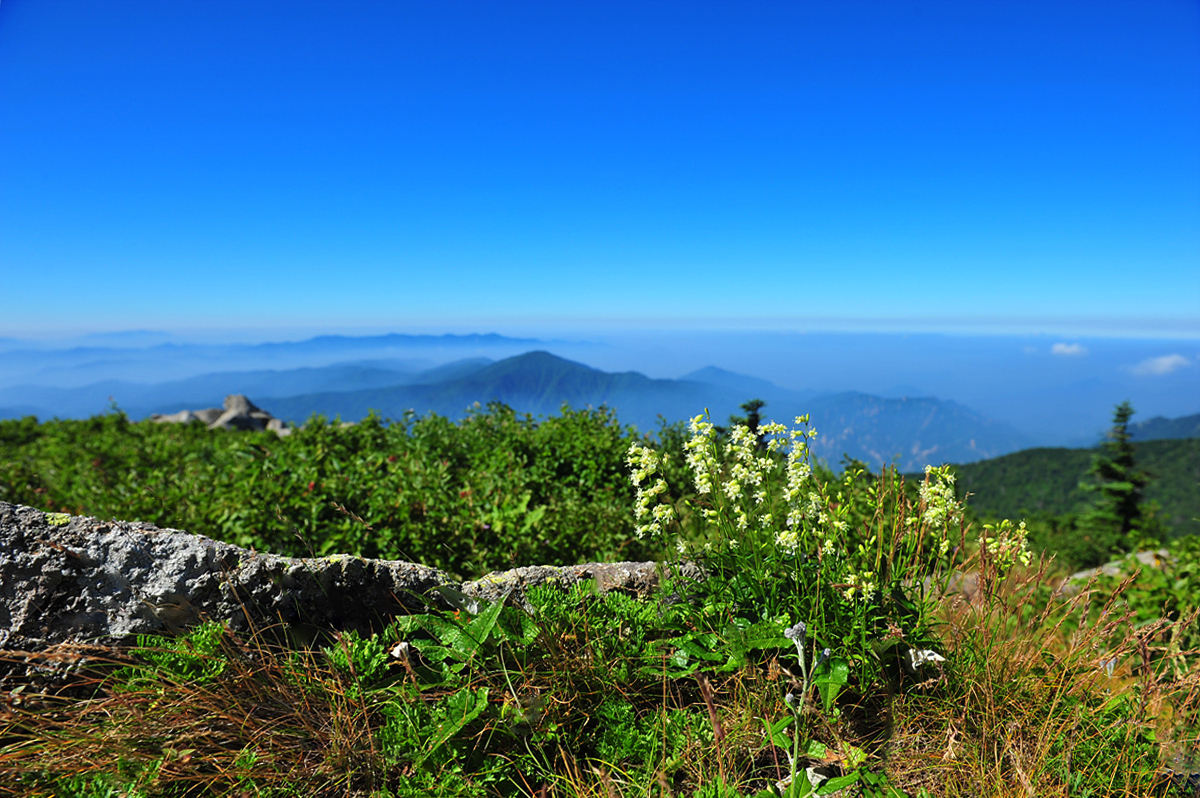 DSC_7823a.jpg