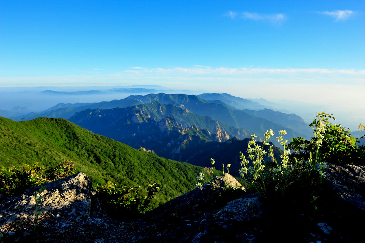 DSC_7265A.jpg