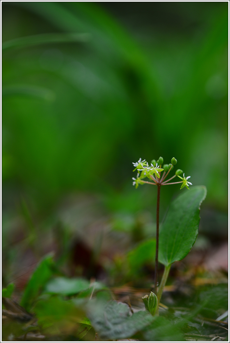 CJH_9472 완.jpg