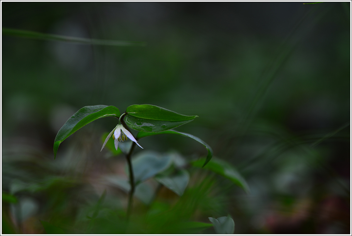 CJH_9436 완.jpg