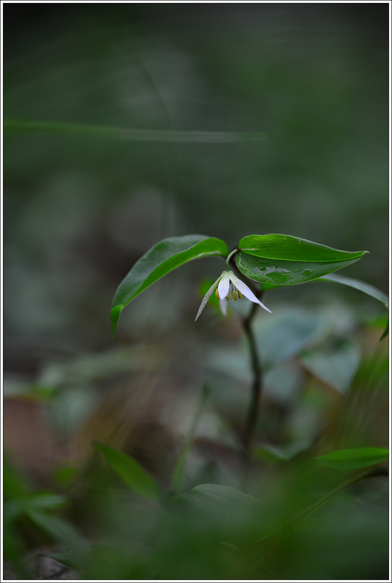 CJH_9435 완.jpg