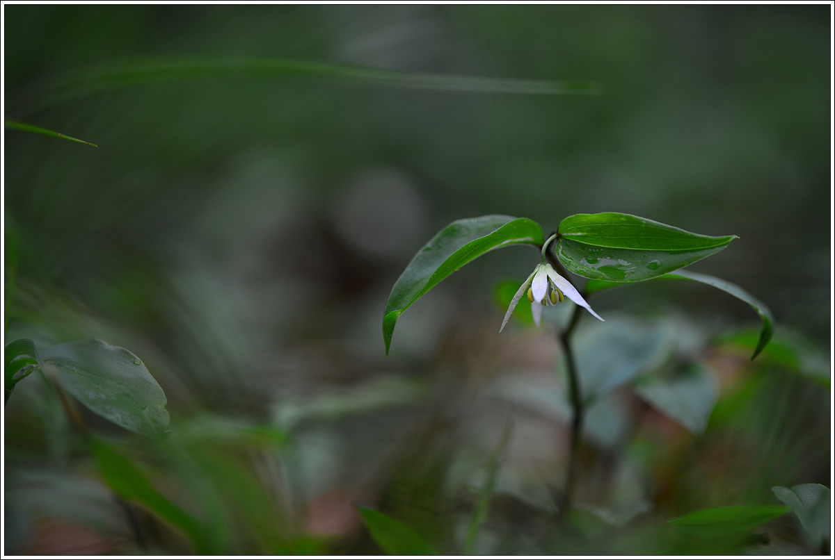 CJH_9434 완.jpg