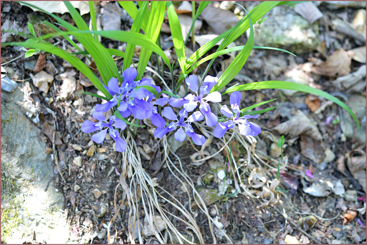 DSC_8715.jpg