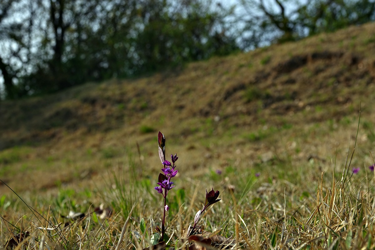 21-04-11 (201)-1.JPG