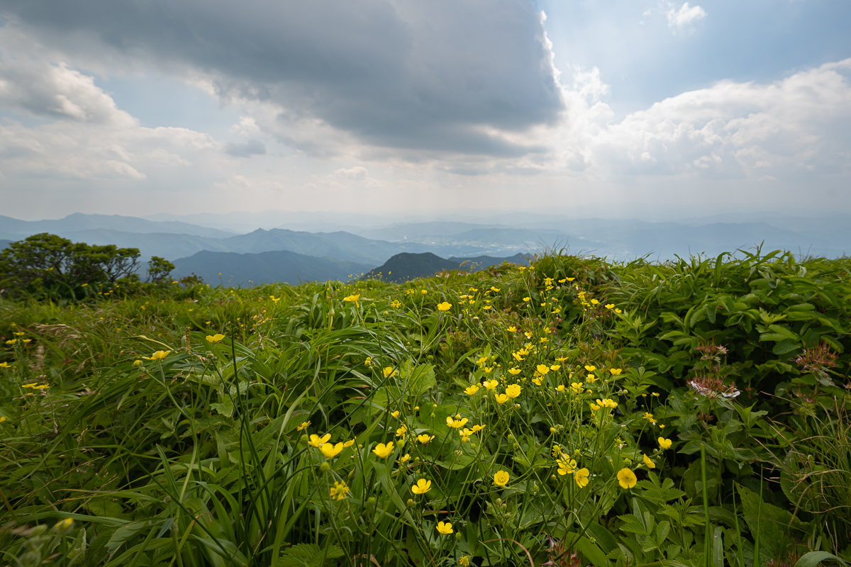 DSC_3020.jpg