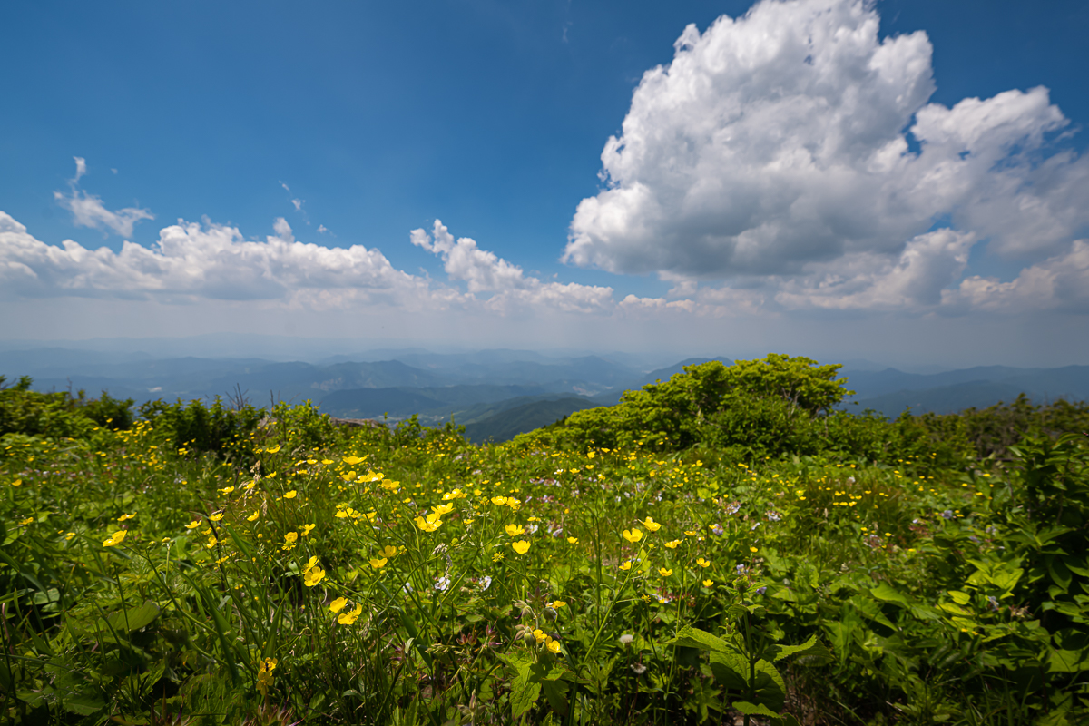 DSC_2851.jpg