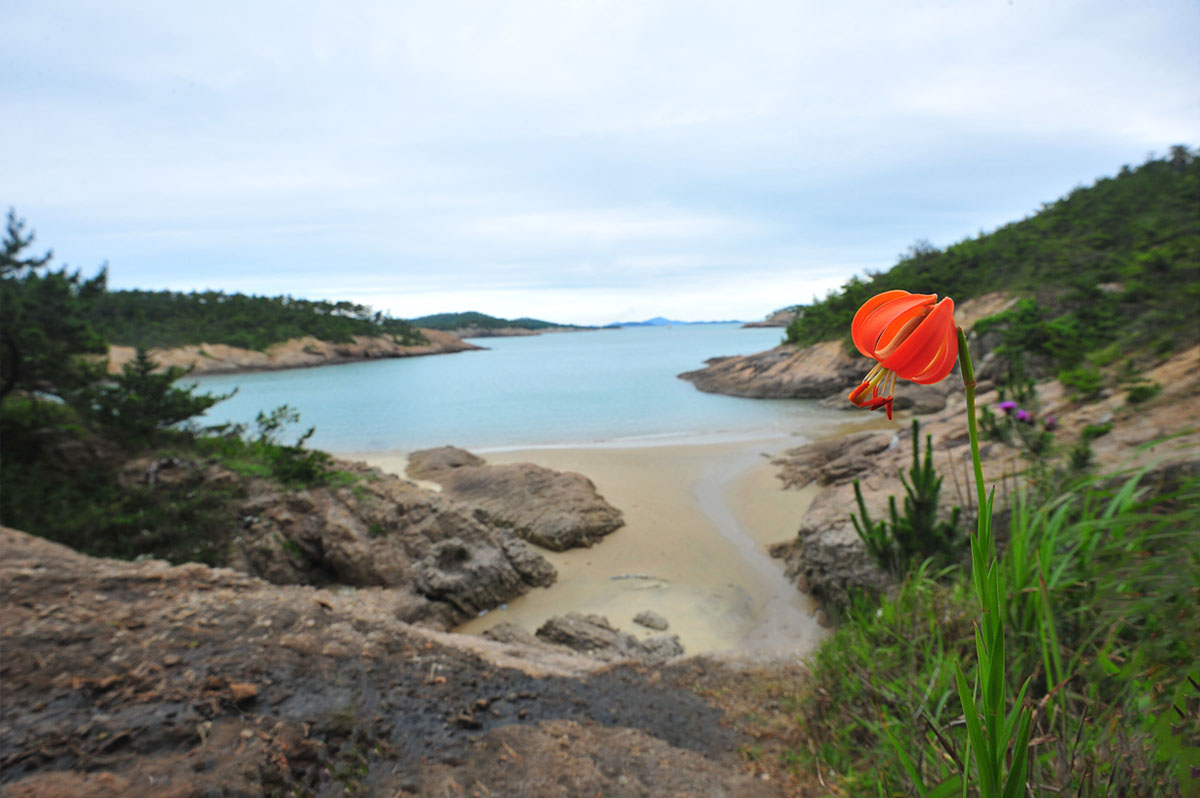 DSC_5437a.jpg