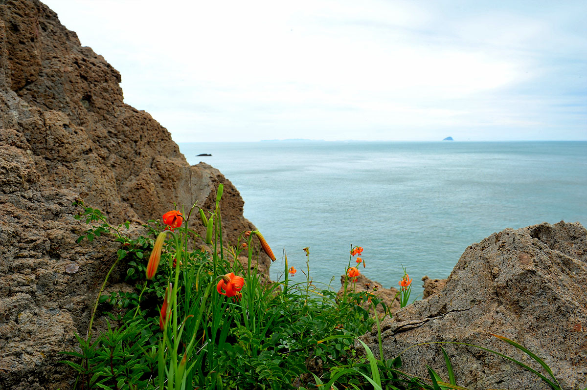 DSC_5575s.jpg