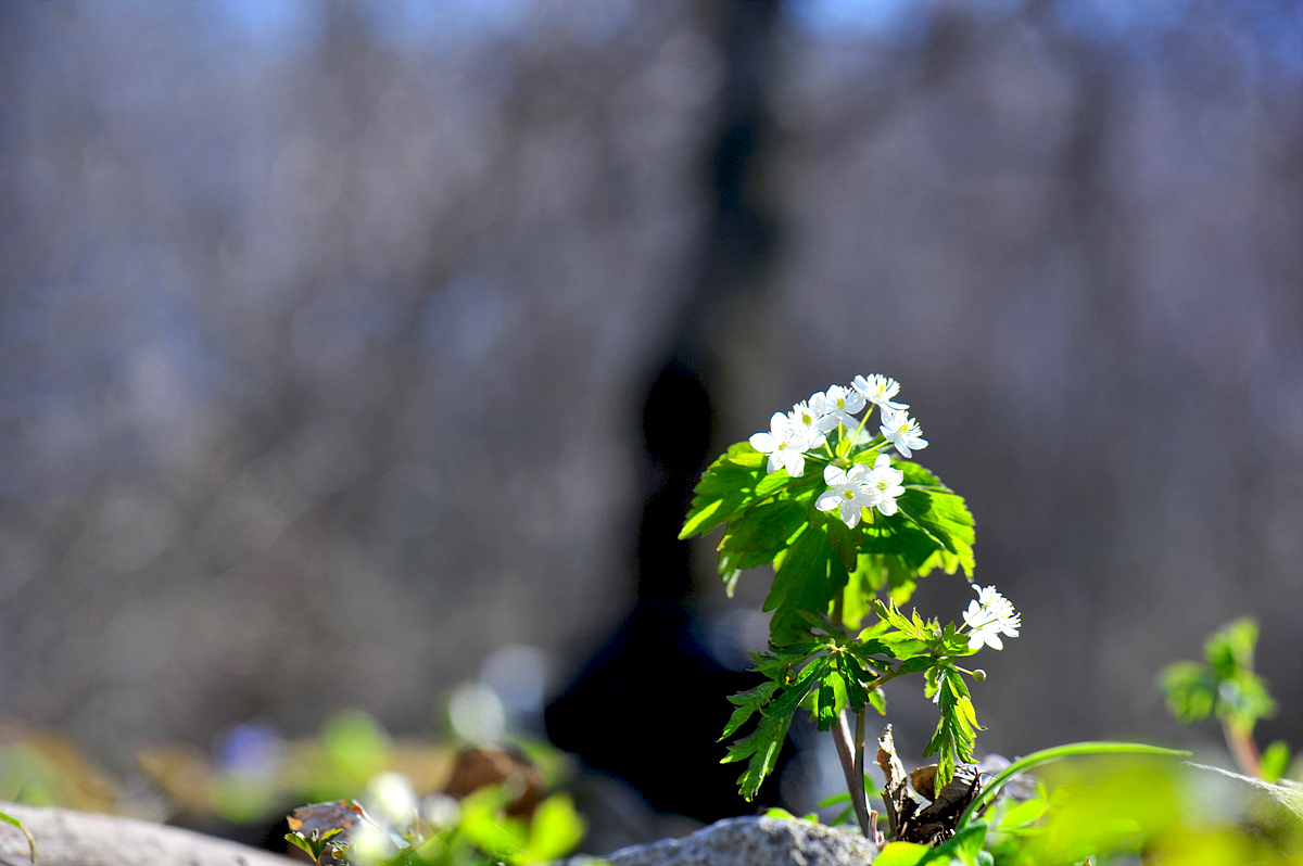 DSC_7893s.jpg