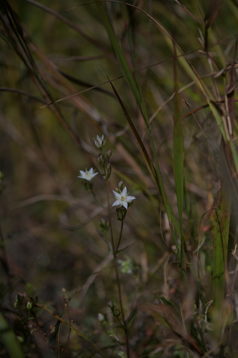 DSC_0081.jpg