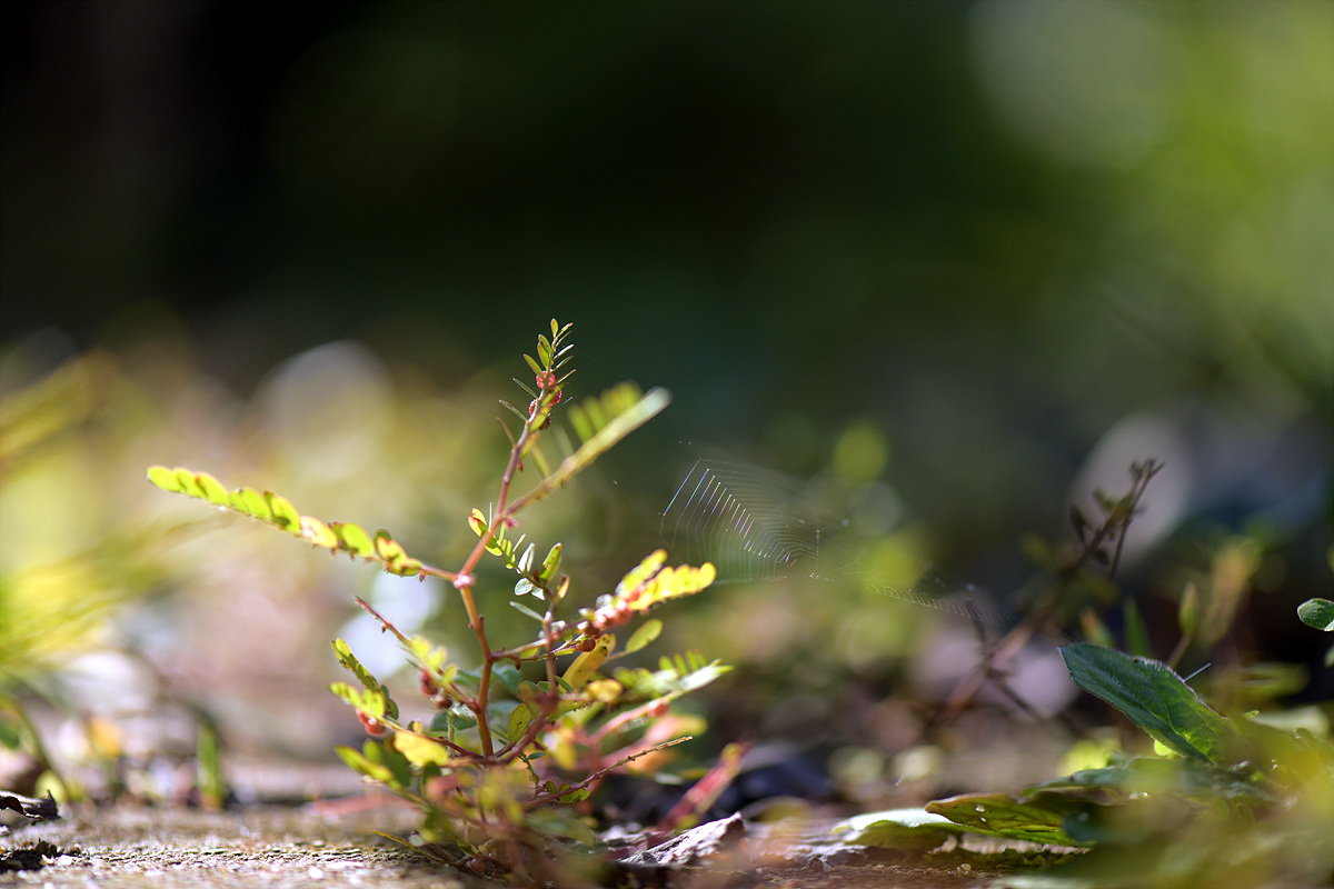 DSC_8632.jpg