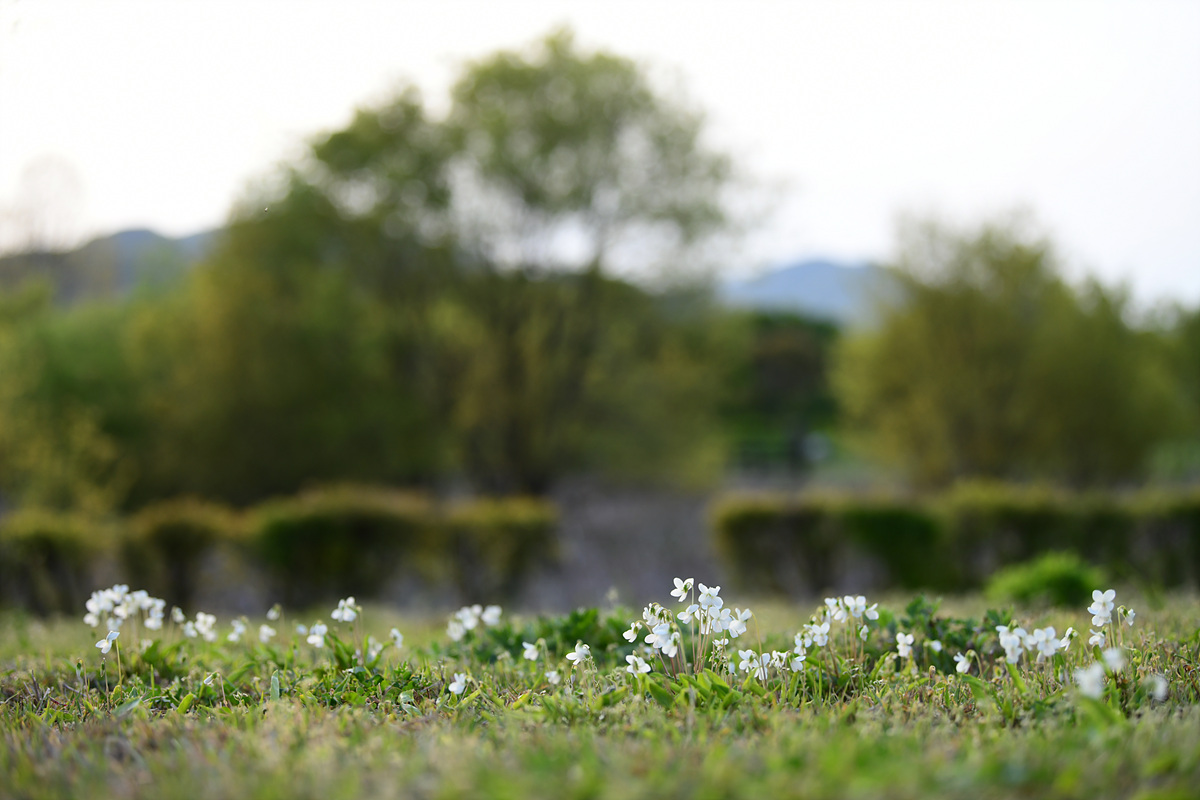 DSC_3301.jpg