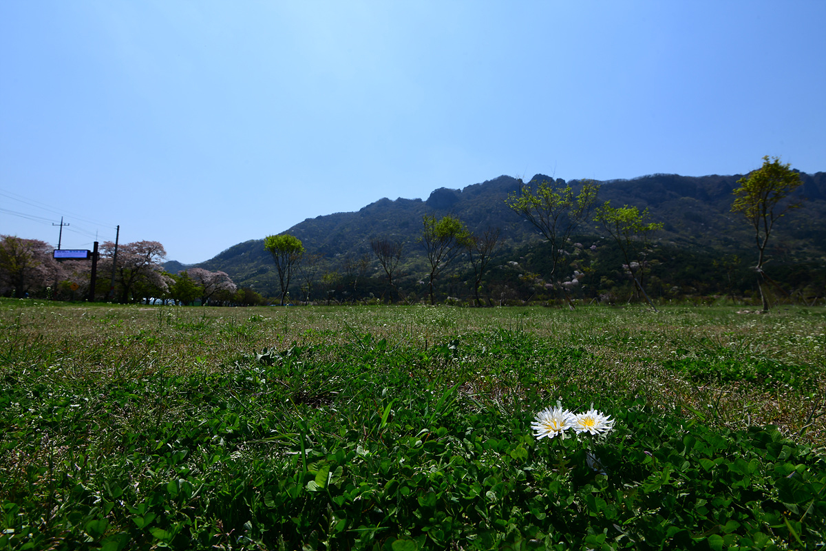 DSC_1371sss.jpg