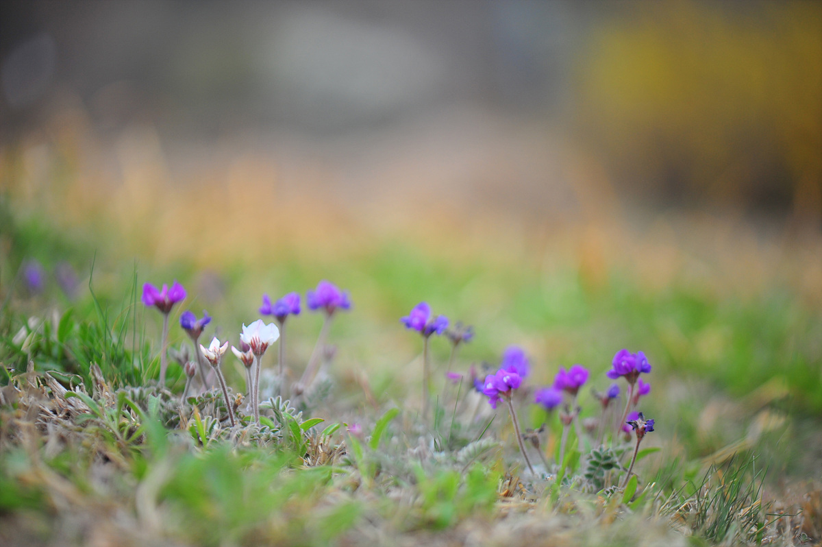 DSC_1942ss.jpg
