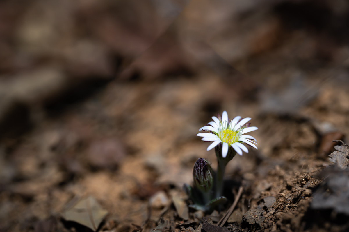 DSC_9551.jpg