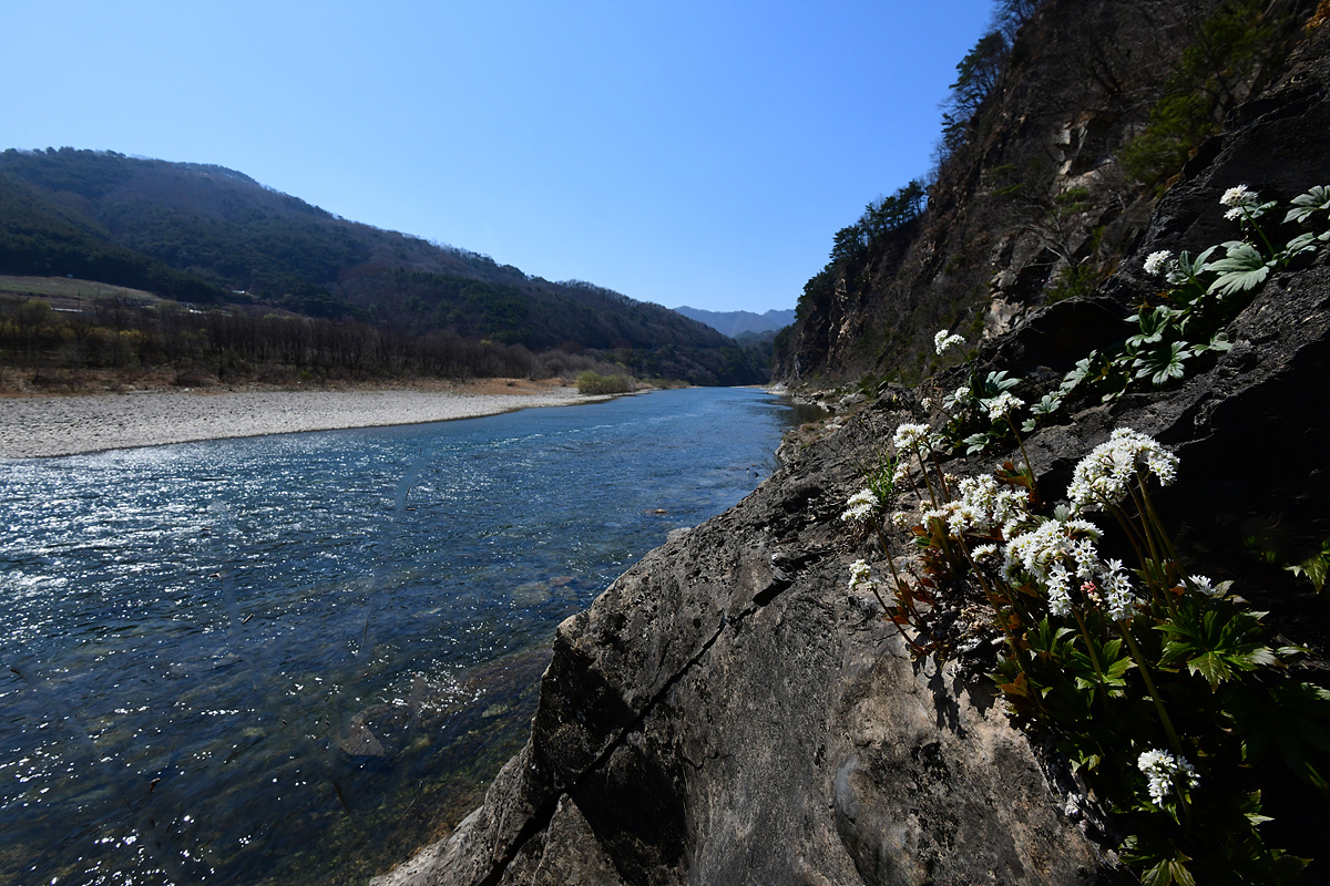 DSC_9542aaa.jpg