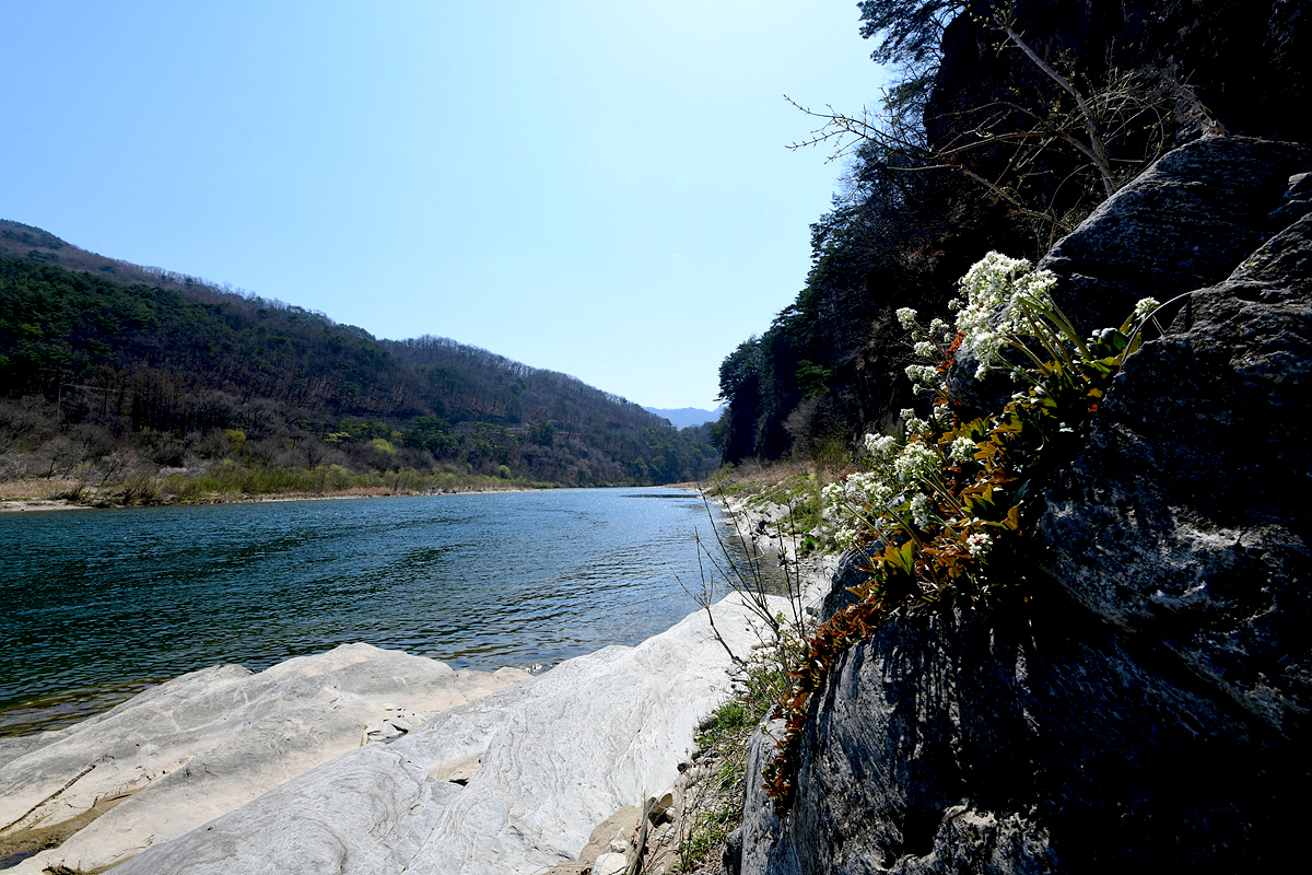 DSC_9953sss.jpg