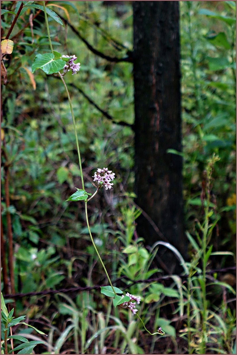 DSC05646.jpg