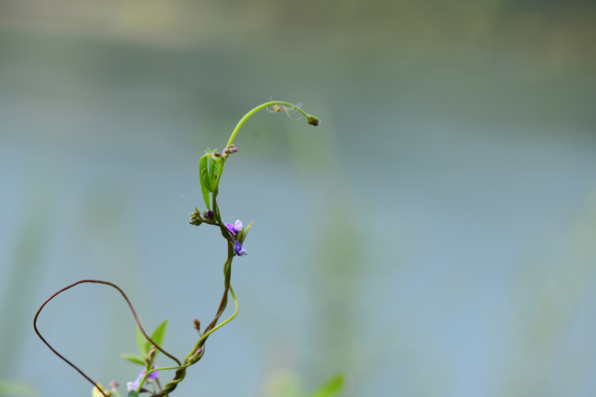 DSC_5661.jpg