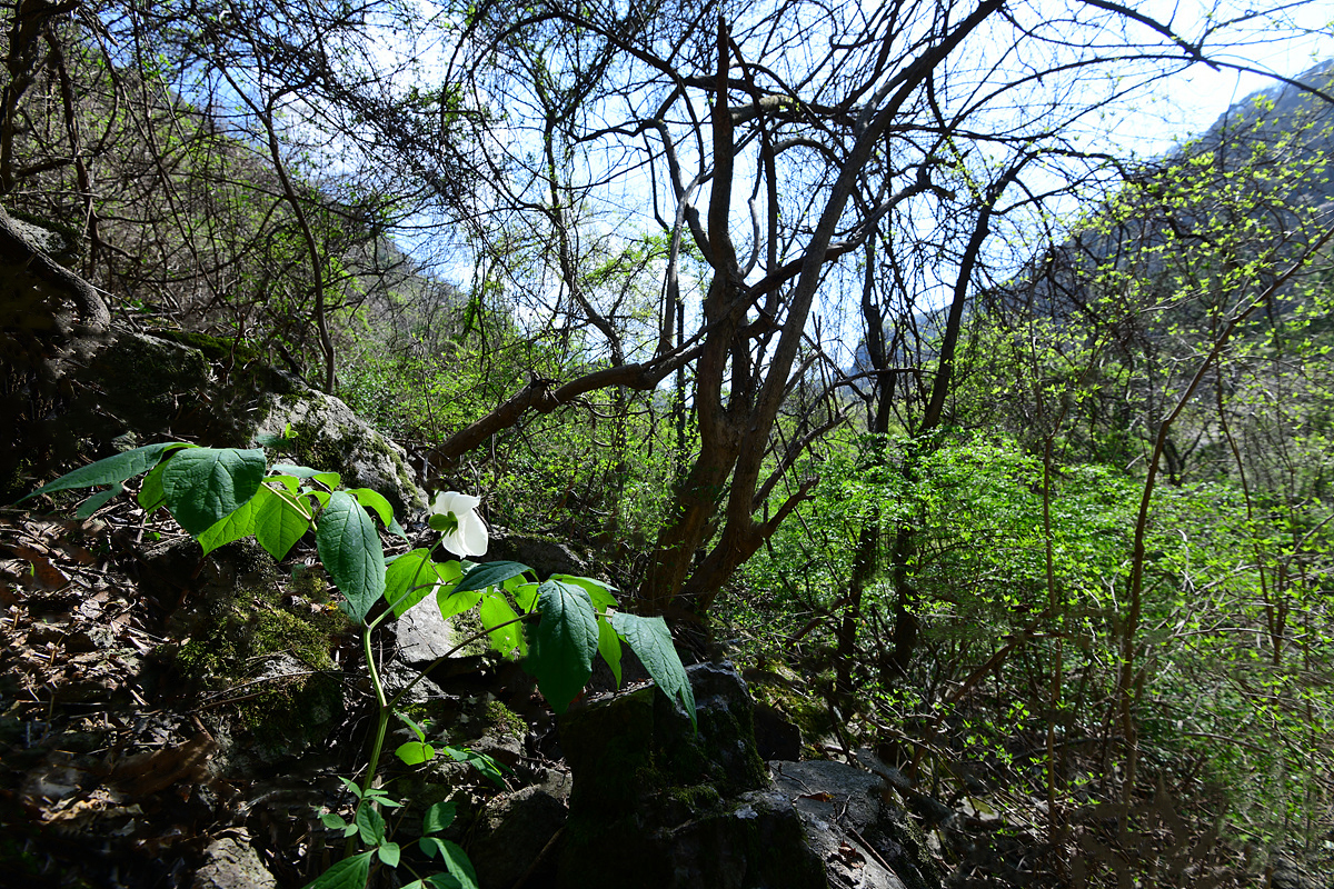 DSC_1540aaa.jpg