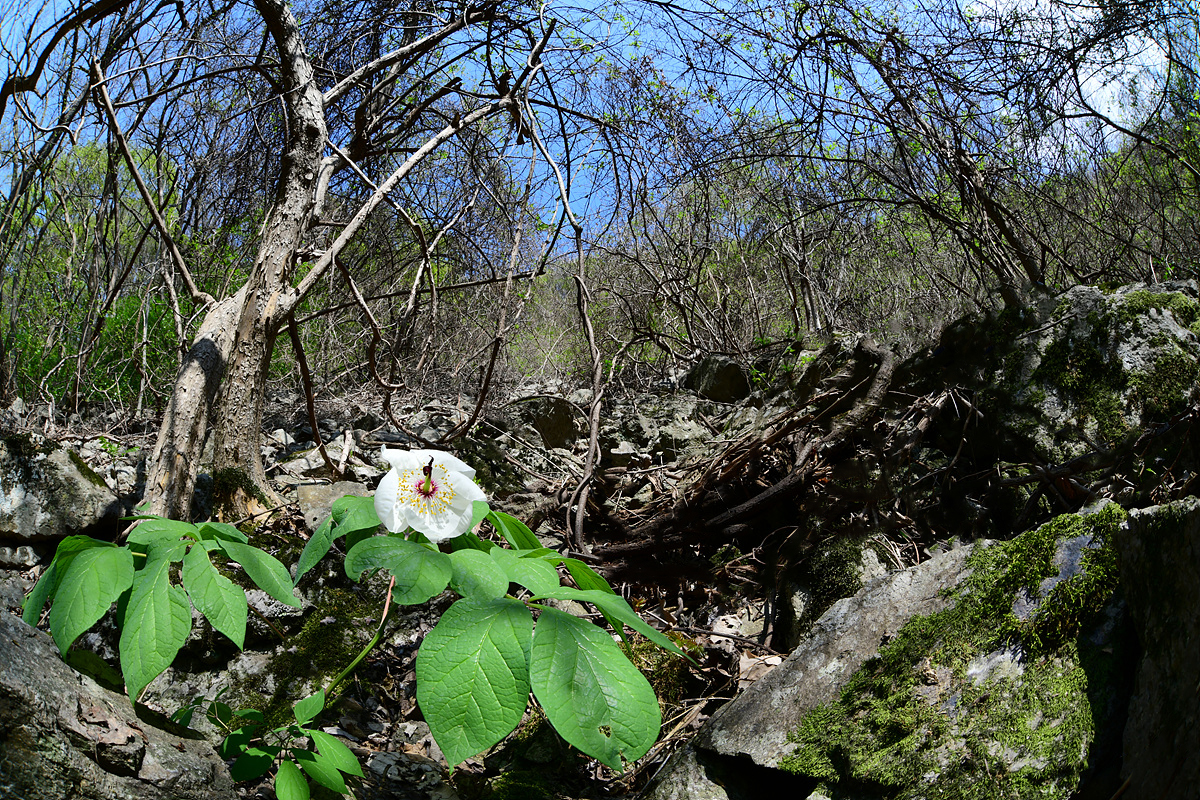 DSC_1527sss.jpg