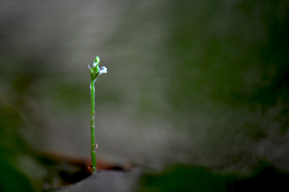 DSC_7326aaa.jpg