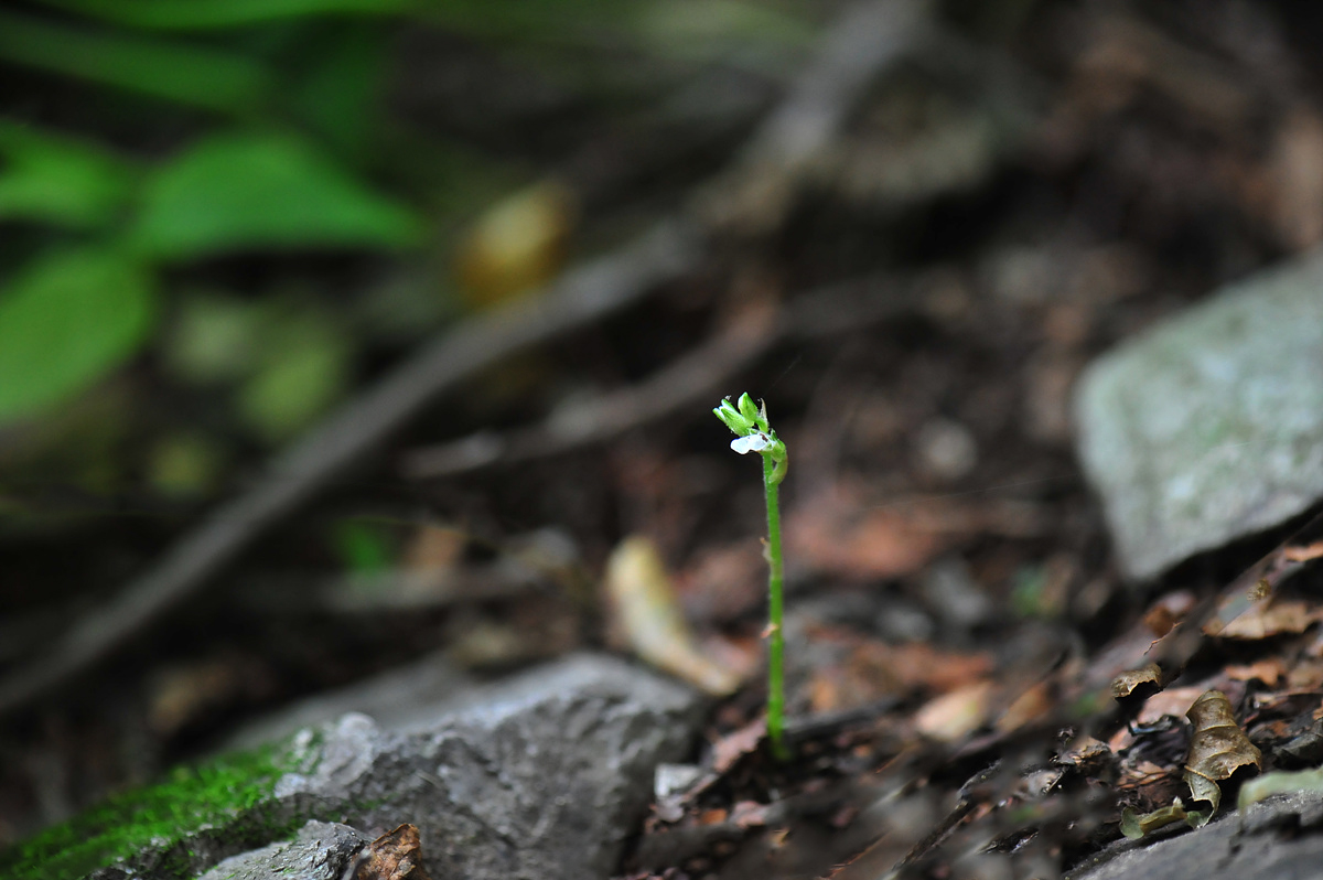 DSC_7302sss.jpg