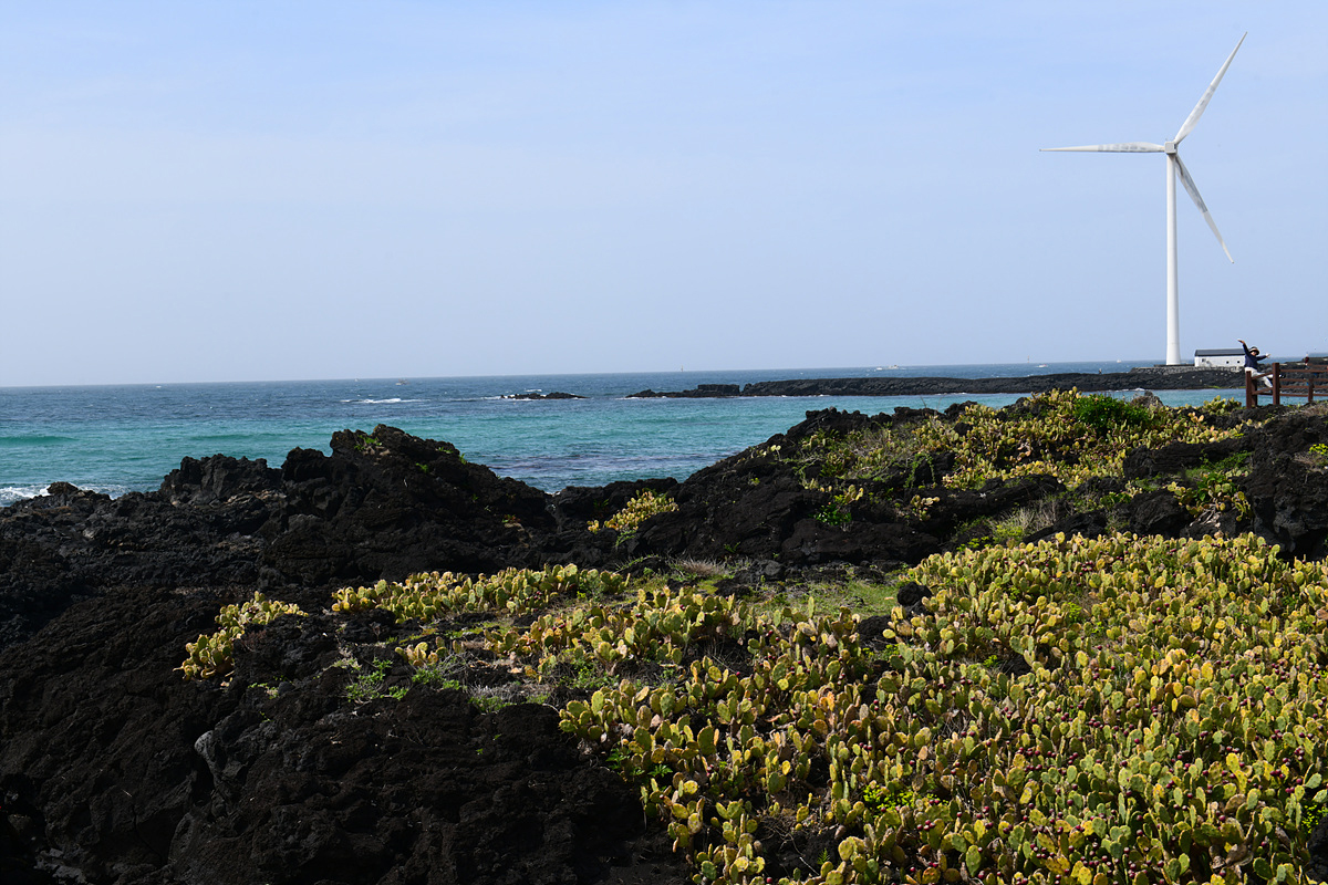 DSC_4784sss.jpg
