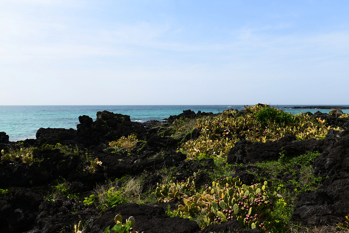 DSC_4767sss.jpg