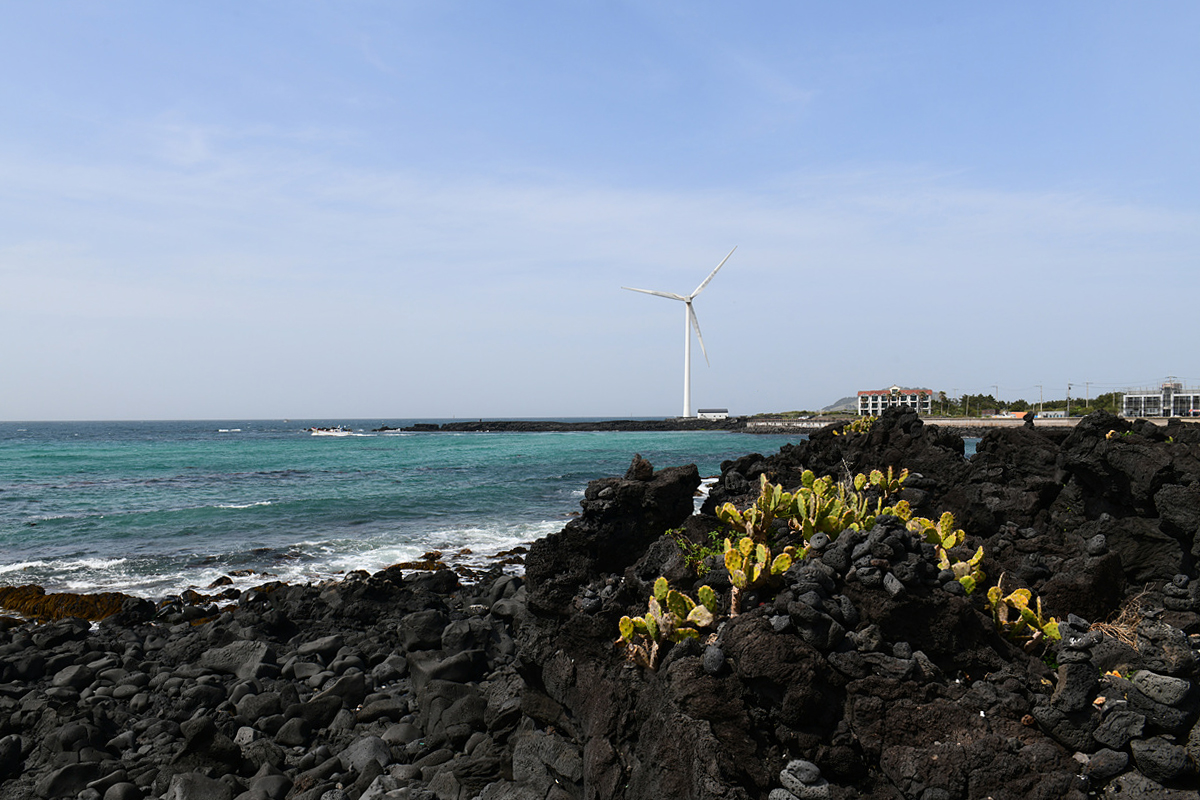 DSC_4760sss.jpg