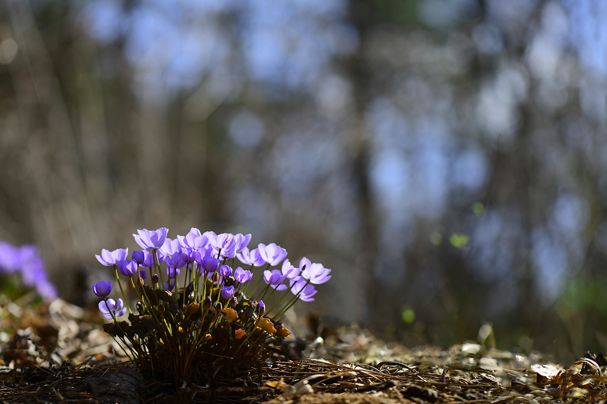 DSC_9280qqq.jpg