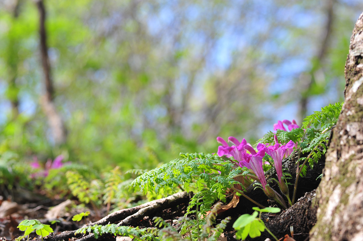 2011@04-23a 123.jpg