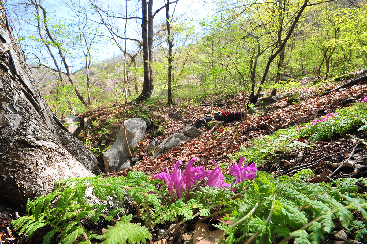 2011@04-23a 247.jpg