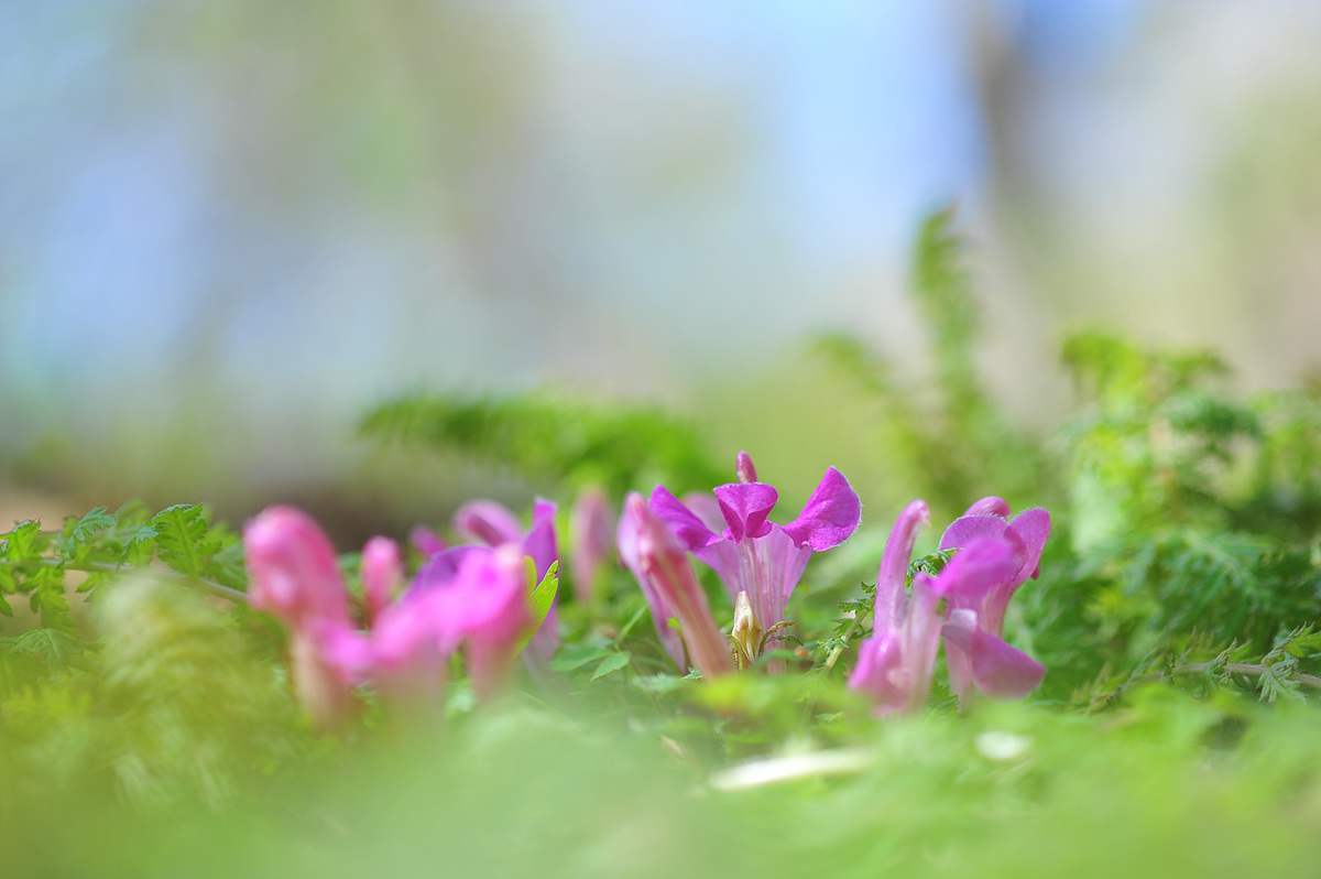 2011@04-23a 188.jpg