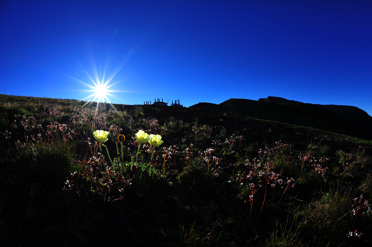 DSC_4470a.jpg