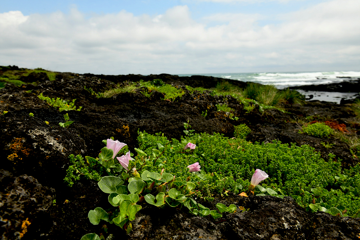 DSC_5764aaa.jpg