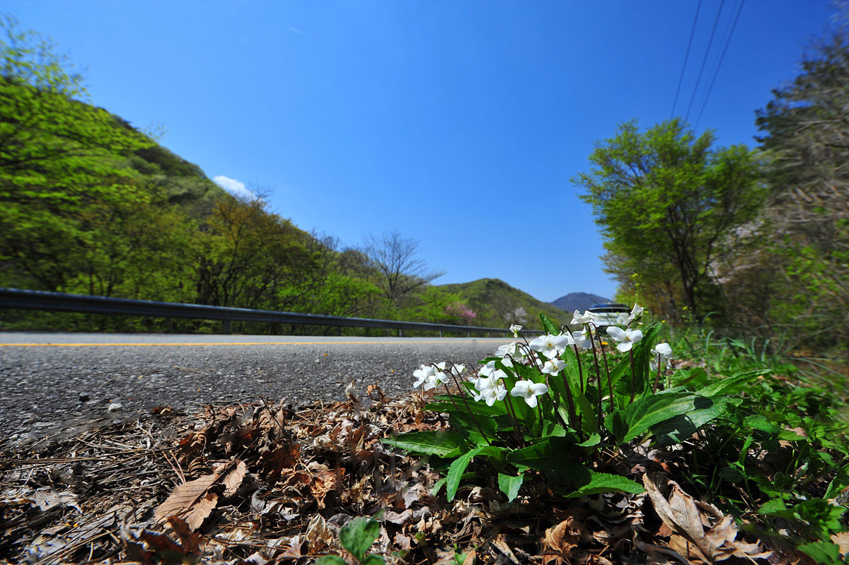 DSC_4091ss.jpg