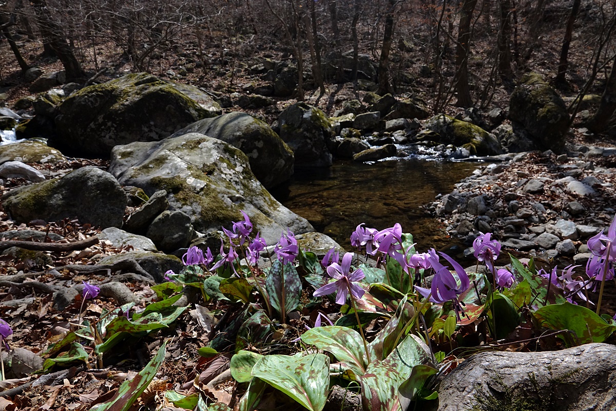 22-04-03 (18)-1.JPG