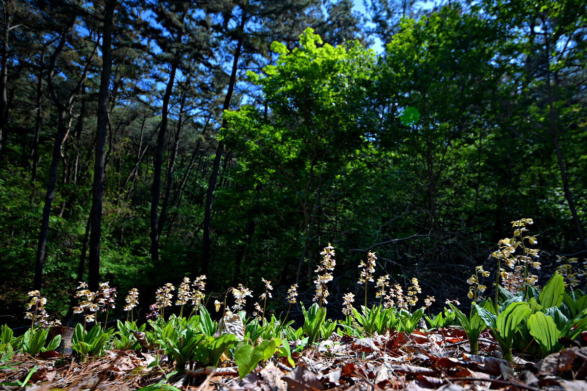 DSC_0253.jpg