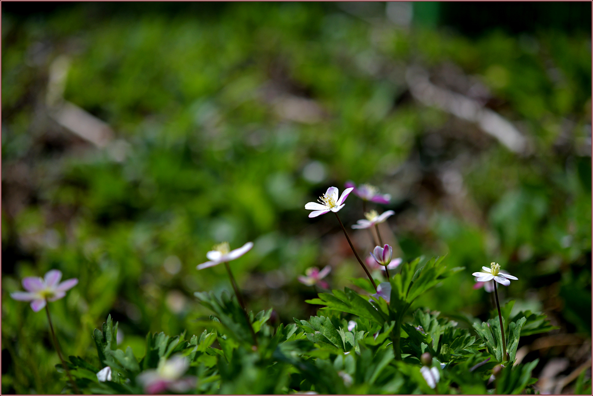 DSC_8288.jpg